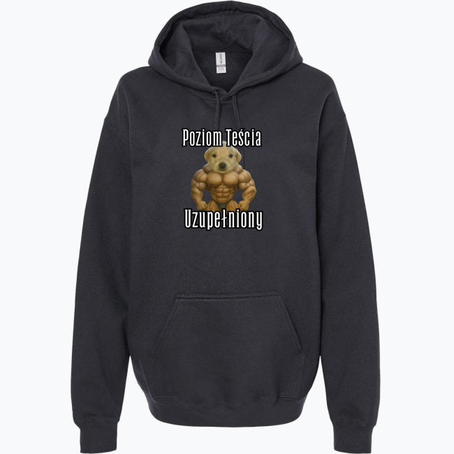 Bluza Poziom Teścia