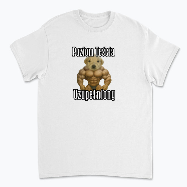 Koszulka Poziom Teścia